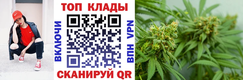 Наркошоп купить COCAIN  Alpha-PVP  Гашиш  Канабис  Мефедрон  Снежногорск