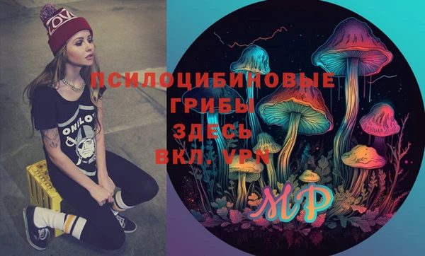 герыч Заводоуковск