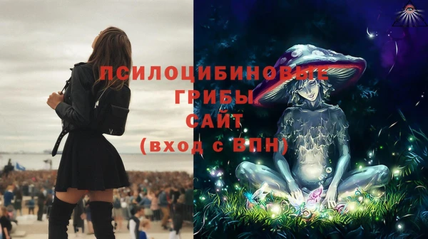 герыч Заводоуковск