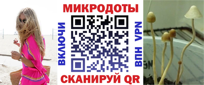 Галлюциногенные грибы Psilocybine cubensis  Купить закладки  Снежногорск 